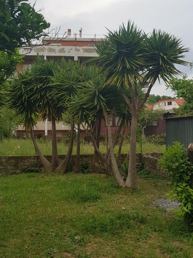 Villa "Il Nespolo" à Scauri  Extérieur photo